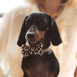 Nœuds papillon cousu main pour animaux