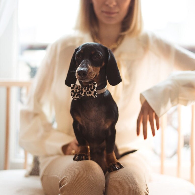 Animal handwork Bow Ties image 1