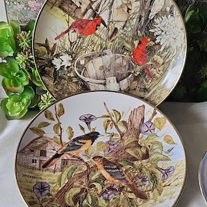 Franklin Mint Bird Plates - Etsy