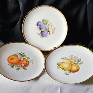 Hutschenreuther Plate - Etsy