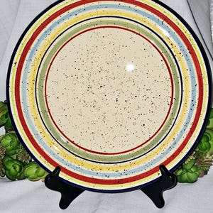 Set 2 Pfaltzgraff Sedona Stoneware hand-painted orange yellow and red dinner Plate 12&quot; colorful pattern dishwasher, microwave, freezer safe