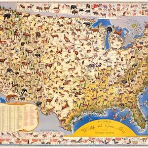 Fauna selvatica pittorica e mappa di gioco degli Stati Uniti