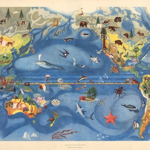 May include: A colorful vintage illustration of the fauna and flora of the Pacific Ocean. The map shows various animals and plants from different regions of the Pacific, including whales, sharks, fish, sea turtles, jellyfish, and coral reefs. The text "The Fauna and Flora of the Pacific" is written in a decorative font at the bottom left of the image.