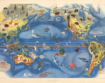 1940 The Fauna and Flora of the Pacific