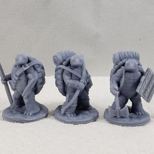 Turdle Set