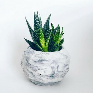 Geometric Concrete Planter, Cement Succulent Pot, Marble Pots, Cactus Small Pot, Black and White
