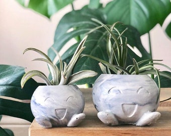 Radish Concrete Planter SMALL| Pokemon Air Plant Holder | Fan Art | Home Decor | Marble Cement | Succulent Pot