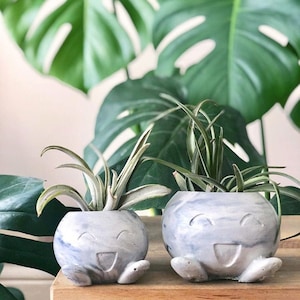 May include: Two gray and white marbled ceramic planters shaped like a cartoon character with a smiling face. The planters are filled with green plants.