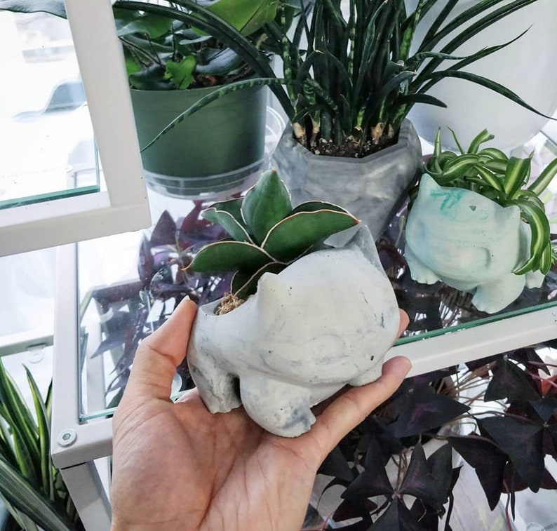 Bulba Planter LARGE Pokemon Air Plant Holder Fan Art Home Decor Marble Cement Concrete image 10