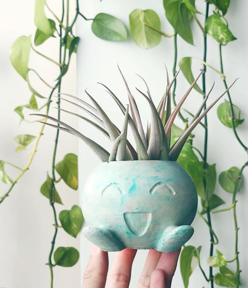 Radish Concrete Planter LARGE Pokemon Air Plant Holder Fan Art Home Decor Marble Cement Succulent Pot image 4