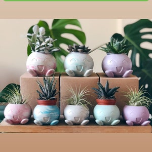 Radish Concrete Planter LARGE Pokemon Air Plant Holder Fan Art Home Decor Marble Cement Succulent Pot image 9