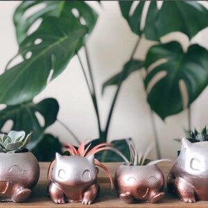 Bulba Planter LARGE Pokemon Air Plant Holder Fan Art Home Decor Marble Cement Concrete image 4