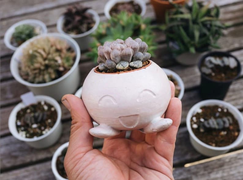 Radish Concrete Planter LARGE Pokemon Air Plant Holder Fan Art Home Decor Marble Cement Succulent Pot image 6