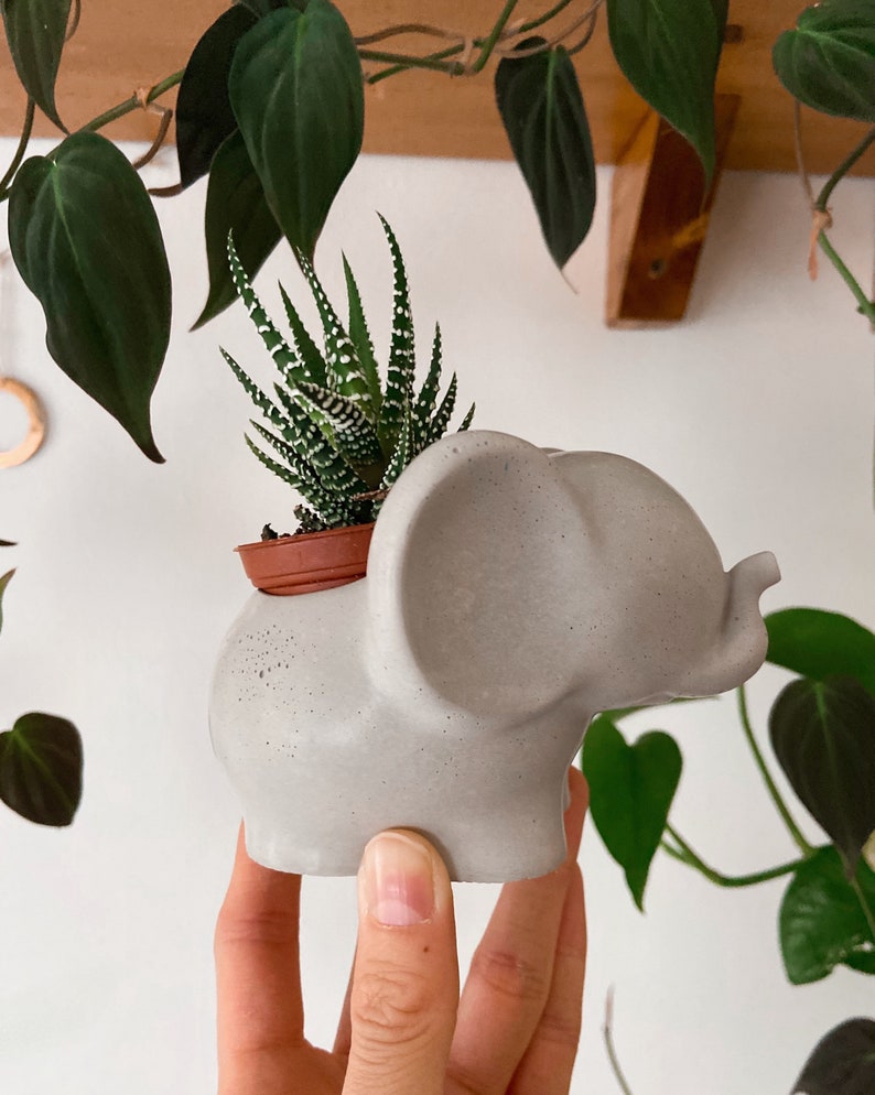 Elephant Planter Concrete Elephant Succulent Pot Cute Elephant Flower Vase Dumbo Cactus Cement Planter Lucky Elephant image 2