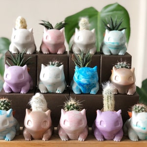 May include: A collection of 12 small, hand-painted ceramic planters shaped like a Pokemon character. Each planter is filled with a small succulent plant. The planters are arranged in three rows of four, with each row on a different coloured wooden shelf.