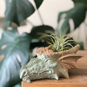 Dragon Head Planter Concrete Airplanter Cement Succulent Flower Pot Cactus Fantasy Fan Art Tealight Candle Holder Creature image 3