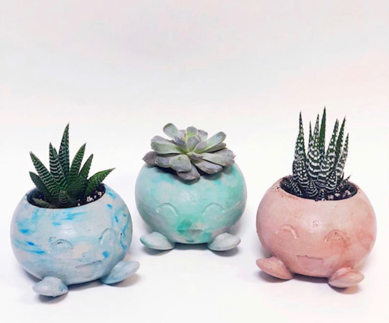 Radish Concrete Planter LARGE Pokemon Air Plant Holder Fan Art Home Decor Marble Cement Succulent Pot image 3