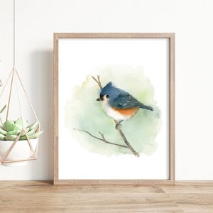 Tufted titmouse watercolour painting print, bird painting art print