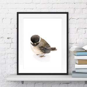 Baby Chickadee Watercolor Painting Art Print, black-capped chickadee bird illustration , Bird Painting, nursery room decor