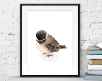 May include: Watercolor print of a small bird with a black head and brown body, set in a black frame. The bird is depicted in a realistic style. The framed artwork is displayed on a white shelf, with a stack of books to the right.