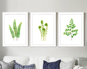 Set of 3 fern watercolour painting prints, Leaf paintings, botanical paintings, green home decor, fern art prints