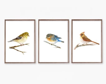 Set of 3 bird watercolor painting prints, female bird art prints, cardinal, American goldfinch, and bluebird paintings prints, decor