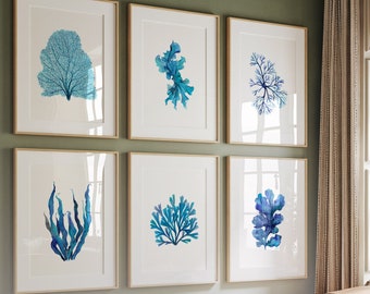 Set of 6 Seaweed watercolor painting prints,  botanical sea life plant illustraction paintings giclee prints, blue home bathroom art decor