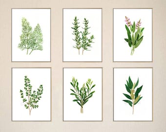 Set of 6 Herb watercolor painting prints. Rosemary, Dill, Tarragon, Thyme, Sage, Bay paintings, botanical prints, green home, kitchen decor