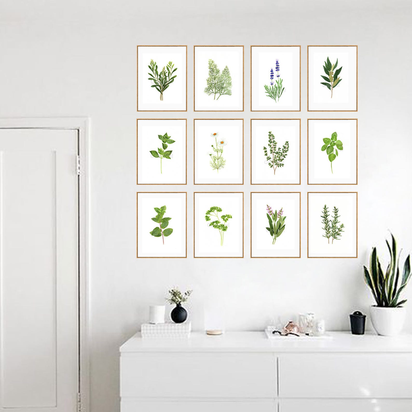 Set of 12 Herb Watercolor Giclee Prints, Botanical Kitchen Wall Art - Etsy