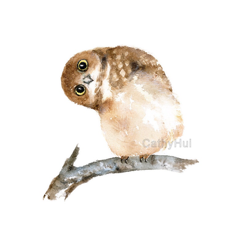 Puede incluir: Pintura a la acuarela de un peque&ntilde;o b&uacute;ho posado en una rama. El b&uacute;ho tiene plumas marrones y blancas, ojos grandes y amarillos, y est&aacute; inclinado hacia un lado. La rama es de color gris-marr&oacute;n apagado, sobre un fondo blanco. La firma del artista est&aacute; en la esquina inferior derecha.
