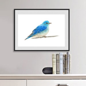 Mountain Bluebird Watercolor Painting Art Print Bird - Etsy