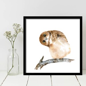 Puede incluir: Pintura a la acuarela de un b&uacute;ho curioso posado en una rama, sobre un fondo blanco. El b&uacute;ho tiene plumas marrones y beige y grandes ojos amarillos. La obra de arte est&aacute; enmarcada en un marco cuadrado negro.