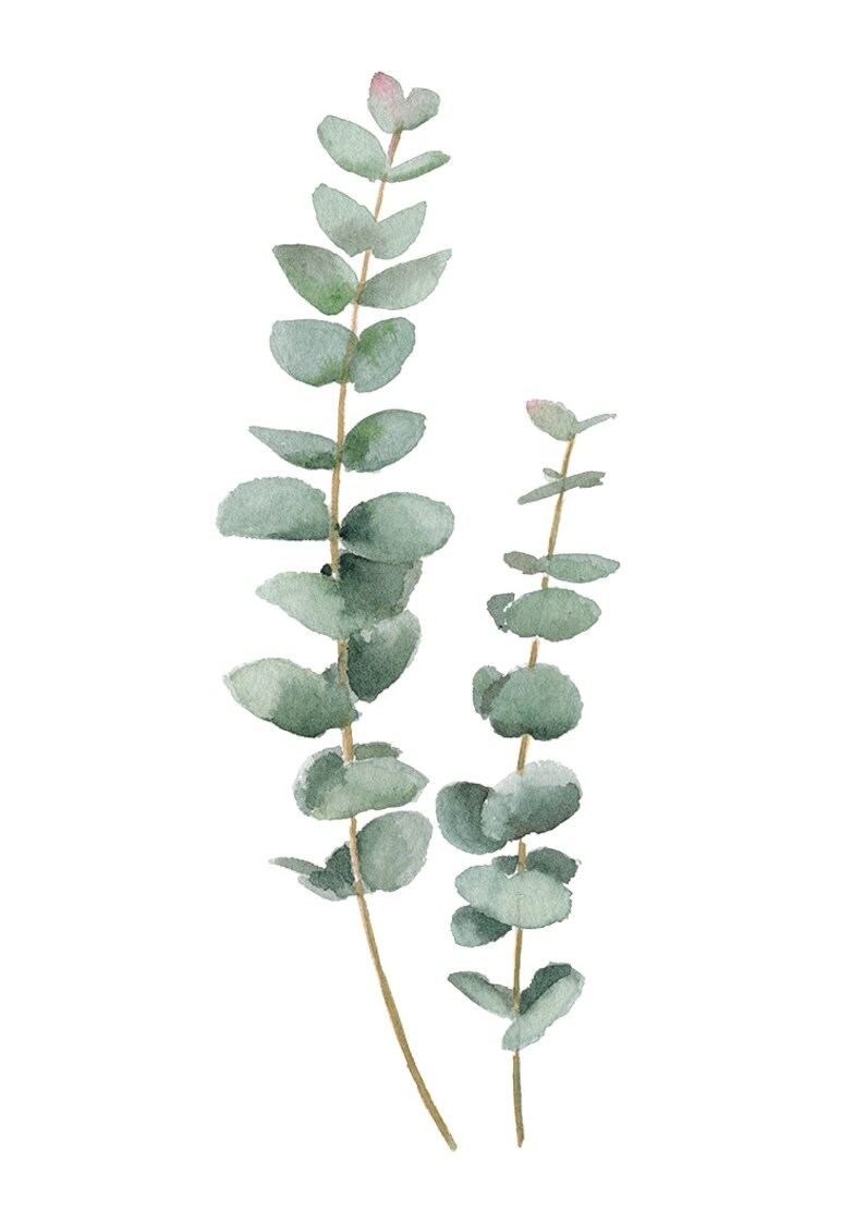 Set of 2 Eucalyptus Watercolor Painting Prints. Green Leaf Art Etsy