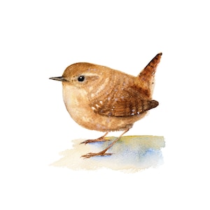 Winter wren Watercolor Painting Art Print,  winter wren bird illustration, Bird Painting