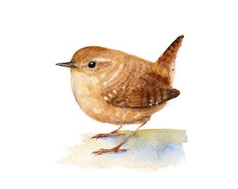 Impresión artística de pintura de acuarela de reyezuelo, ilustración de pájaro reyezuelo de invierno, pintura de aves