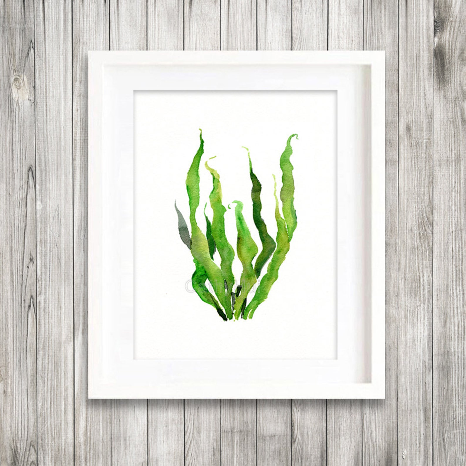 Set of 2 Seaweed Watercolor Painting Prints Sea Fan Sea Kelp Etsy