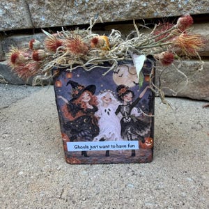 May include: A square decorative block featuring a Halloween illustration of a witch, a ghost, and a skeleton dancing under a full moon. The text "Ghouls just want to have fun" is printed on the front. Dried, spiky, reddish-brown flowers are arranged on top.