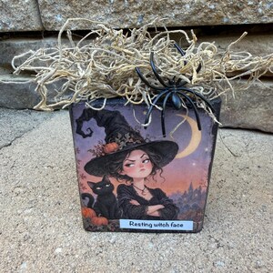 May include: A rectangular decorative block featuring an illustration of a witch with a black cat, a crescent moon, and pumpkins. The text "Resting witch face" is printed at the bottom. A black plastic spider and dried tan moss sit on top.