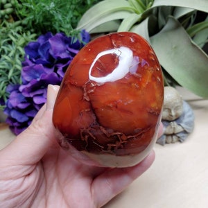 Carnelian freeform, 11.75oz, large, crystals, chakra stones, courage, red stone, altar decoration, meditation crystals, root chakra, 2 image 2