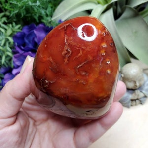 Carnelian freeform, 11.75oz, large, crystals, chakra stones, courage, red stone, altar decoration, meditation crystals, root chakra, 2 image 3