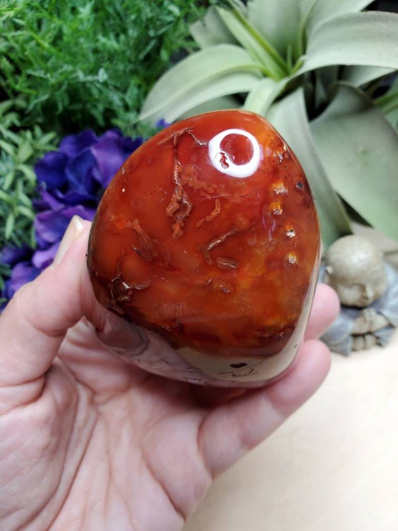 Carnelian freeform, 11.75oz, large, crystals, chakra stones, courage, red stone, altar decoration, meditation crystals, root chakra, 2 image 3