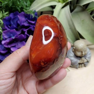 Carnelian freeform, 11.75oz, large, crystals, chakra stones, courage, red stone, altar decoration, meditation crystals, root chakra, 2 image 6