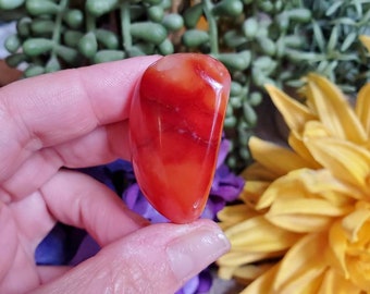 Carnelian palm stone, tumbled stone, crystals, chakra stones, courage, red stone, meditation crystals, root chakra, #S31