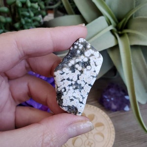 Ocean Jasper pierre culbutée, jaspe orbiculaire, géométrie sacrée, grandes pierres culbutées, cristaux curatifs, terreux, #6