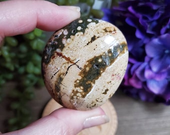 Può includere: Una pietra di diaspro oceanico liscia e lucida con una varietà di motivi marroni, bianchi e verdi. La pietra ha una forma naturale e organica.