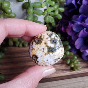 Ocean Jasper palm stone, orbicular jasper, sacred geometry, tumbled stones, healing crystals, earthy, #X69