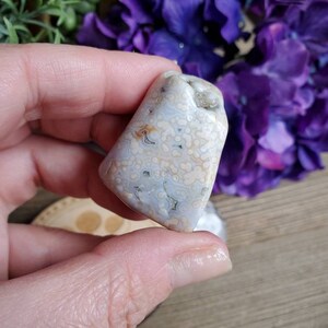 Ocean Jasper tumbled stone, orbicular jasper, sacred geometry, large tumbled stones, healing crystals, earthy, #38