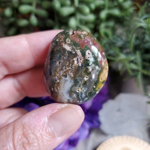 Pierre de palmier Ocean Jasper, .75 oz, jaspe orbiculaire, géométrie sacrée, grandes pierres tombées, cristaux de guérison, terreux, #X38