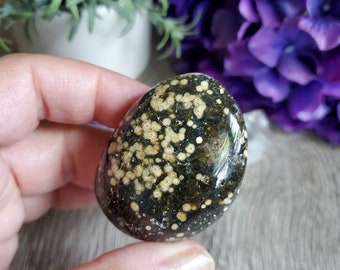 Ocean Jasper palm stone, 1.87 oz, orbicular jasper, sacred geometry, large tumbled stones, healing crystals, earthy, #X2