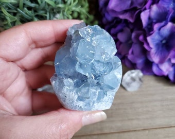 Celestite geode freeform, 8oz, celestine, crystals, altar decoration, meditation, healing crystals, blue crystal, angels, #F7